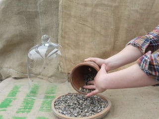 How to make a terrarium with Emily at Snug Harbor Farm