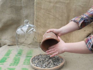 How to make a terrarium with Emily at Snug Harbor Farm