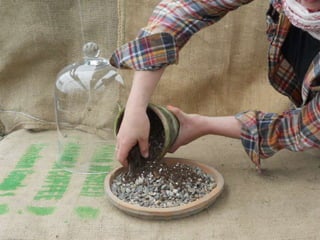 How to make a terrarium with Emily at Snug Harbor Farm