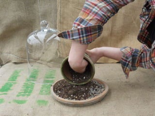 How to make a terrarium with Emily at Snug Harbor Farm