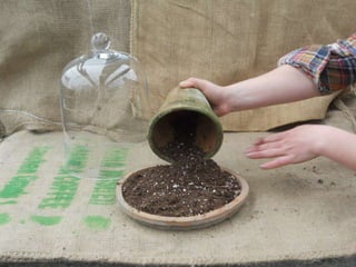 How to make a terrarium with Emily at Snug Harbor Farm