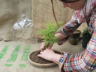 How to make a terrarium with Emily at Snug Harbor Farm