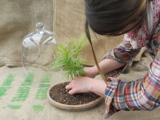 How to make a terrarium with Emily at Snug Harbor Farm