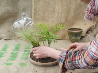 How to make a terrarium with Emily at Snug Harbor Farm