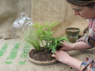 How to make a terrarium with Emily at Snug Harbor Farm