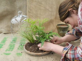 How to make a terrarium with Emily at Snug Harbor Farm