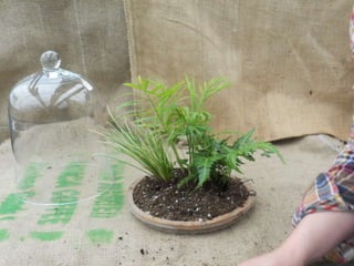 How to make a terrarium with Emily at Snug Harbor Farm
