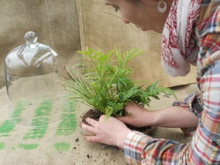 How to make a terrarium with Emily at Snug Harbor Farm