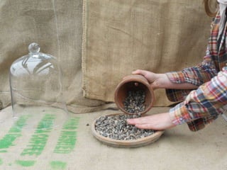 How to make a terrarium with Emily at Snug Harbor Farm