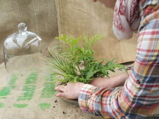 How to make a terrarium with Emily at Snug Harbor Farm