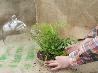 How to make a terrarium with Emily at Snug Harbor Farm