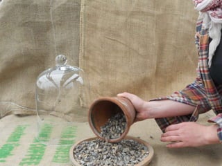 How to make a terrarium with Emily at Snug Harbor Farm