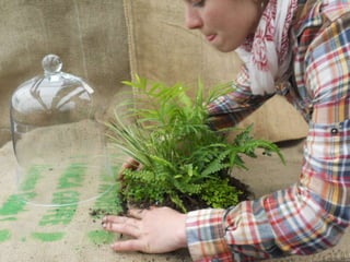 How to make a terrarium with Emily at Snug Harbor Farm