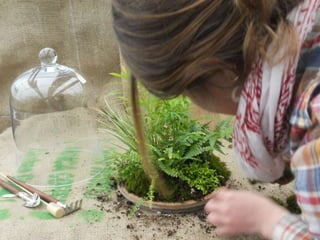 How to make a terrarium with Emily at Snug Harbor Farm