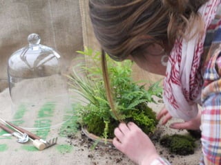How to make a terrarium with Emily at Snug Harbor Farm