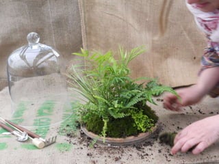 How to make a terrarium with Emily at Snug Harbor Farm