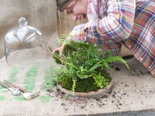 How to make a terrarium with Emily at Snug Harbor Farm