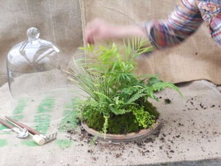 How to make a terrarium with Emily at Snug Harbor Farm