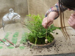 How to make a terrarium with Emily at Snug Harbor Farm