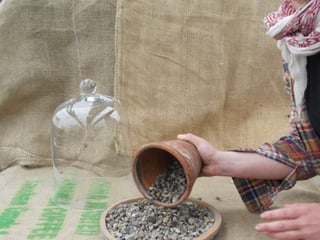 How to make a terrarium with Emily at Snug Harbor Farm