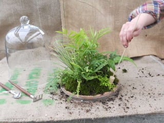 How to make a terrarium with Emily at Snug Harbor Farm