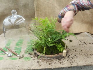 How to make a terrarium with Emily at Snug Harbor Farm