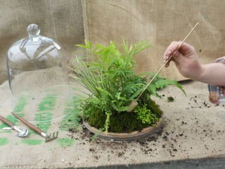 How to make a terrarium with Emily at Snug Harbor Farm