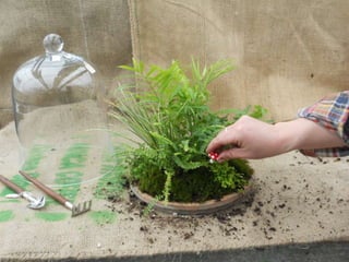 How to make a terrarium with Emily at Snug Harbor Farm