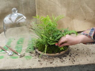 How to make a terrarium with Emily at Snug Harbor Farm