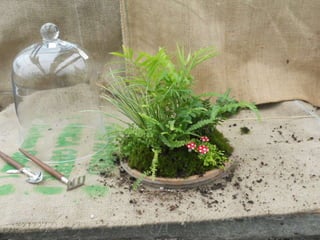 How to make a terrarium with Emily at Snug Harbor Farm