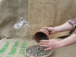 How to make a terrarium with Emily at Snug Harbor Farm