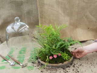 How to make a terrarium with Emily at Snug Harbor Farm