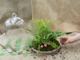 How to make a terrarium with Emily at Snug Harbor Farm