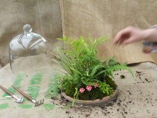 How to make a terrarium with Emily at Snug Harbor Farm