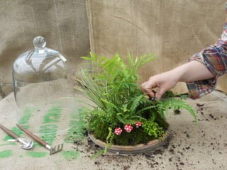 How to make a terrarium with Emily at Snug Harbor Farm