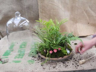 How to make a terrarium with Emily at Snug Harbor Farm