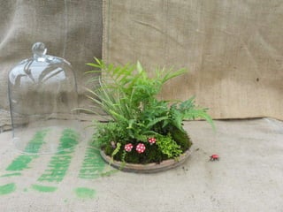 How to make a terrarium with Emily at Snug Harbor Farm