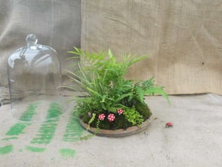 How to make a terrarium with Emily at Snug Harbor Farm