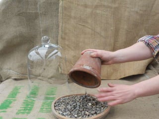 How to make a terrarium with Emily at Snug Harbor Farm