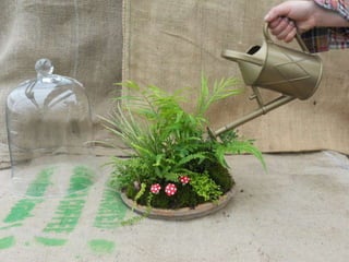 How to make a terrarium with Emily at Snug Harbor Farm