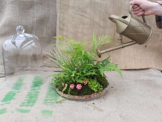 How to make a terrarium with Emily at Snug Harbor Farm