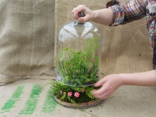 How to make a terrarium with Emily at Snug Harbor Farm