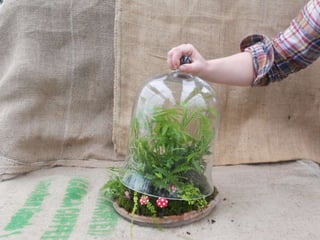 How to make a terrarium with Emily at Snug Harbor Farm