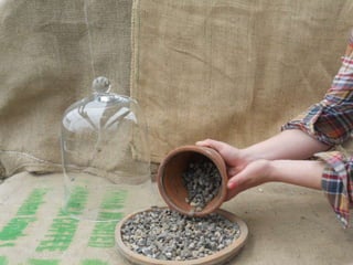 How to make a terrarium with Emily at Snug Harbor Farm