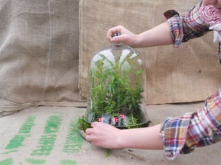 How to make a terrarium with Emily at Snug Harbor Farm