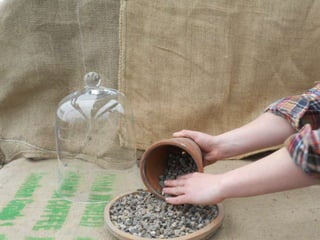 How to make a terrarium with Emily at Snug Harbor Farm