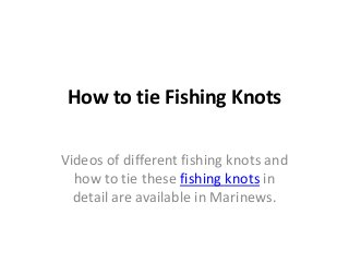 How to tie Fishing Knots

Videos of different fishing knots and
  how to tie these fishing knots in
  detail are available in Marinews.
 