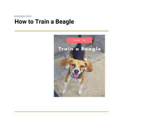 gooddoggies.online
How to Train a Beagle
 