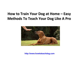 How to Train Your Dog at Home – Easy Methods To Teach Your Dog Like A Pro     http://www.howtoteachdog.com 