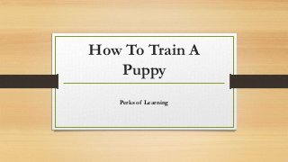 How To Train A
Puppy
Perks of Learning
 